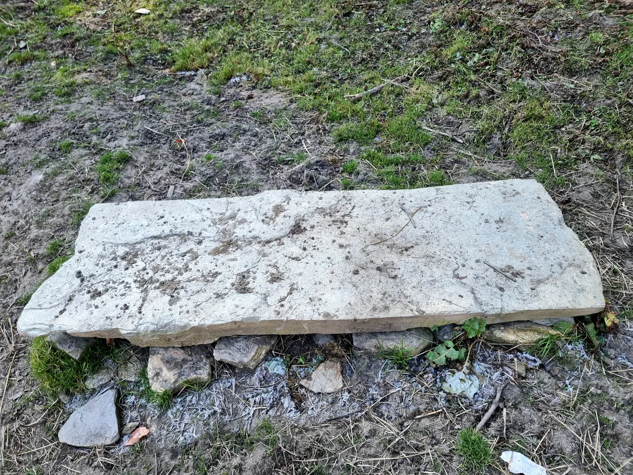 20241125_110802.jpg