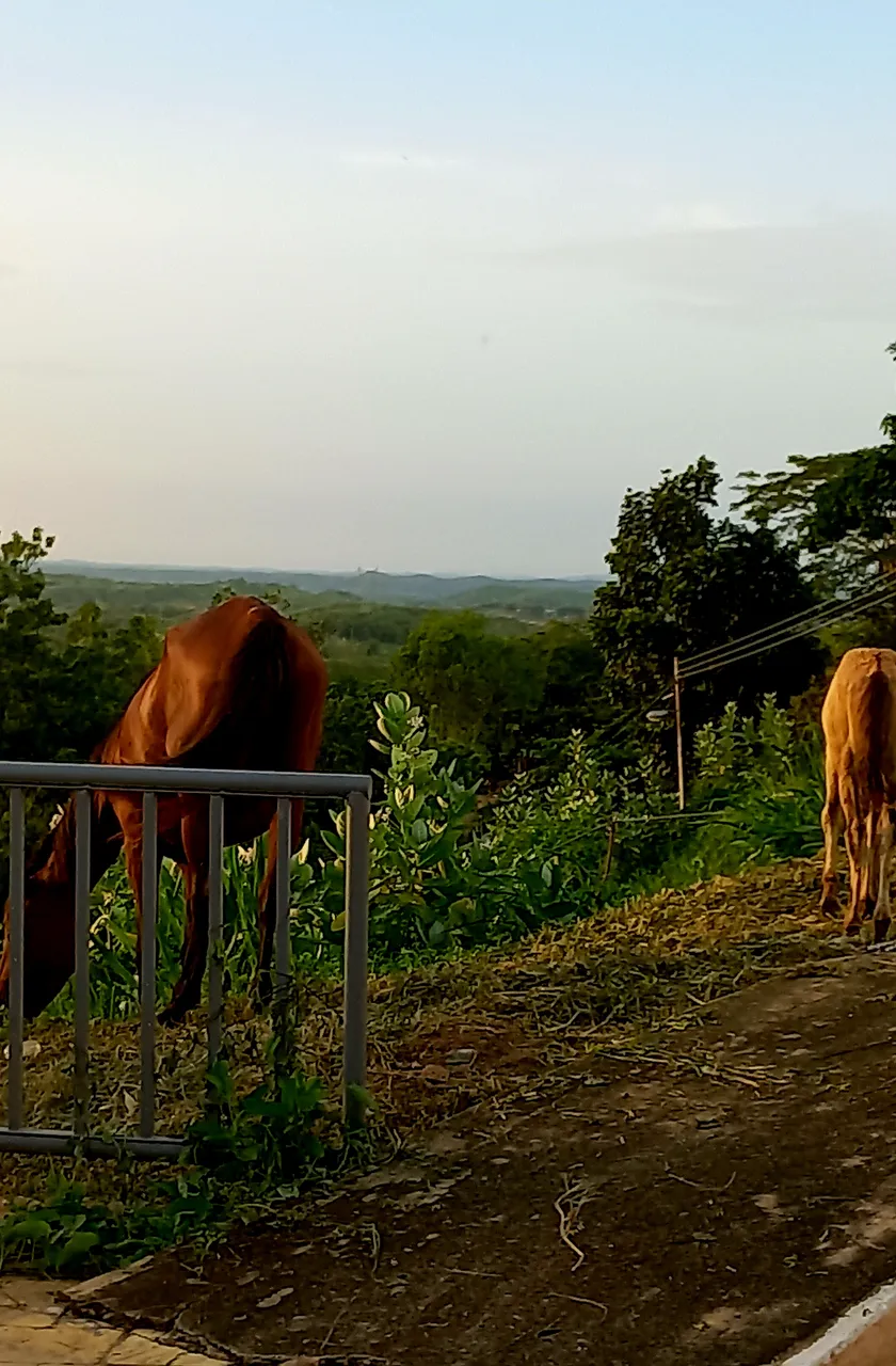 20220816_181549.jpg