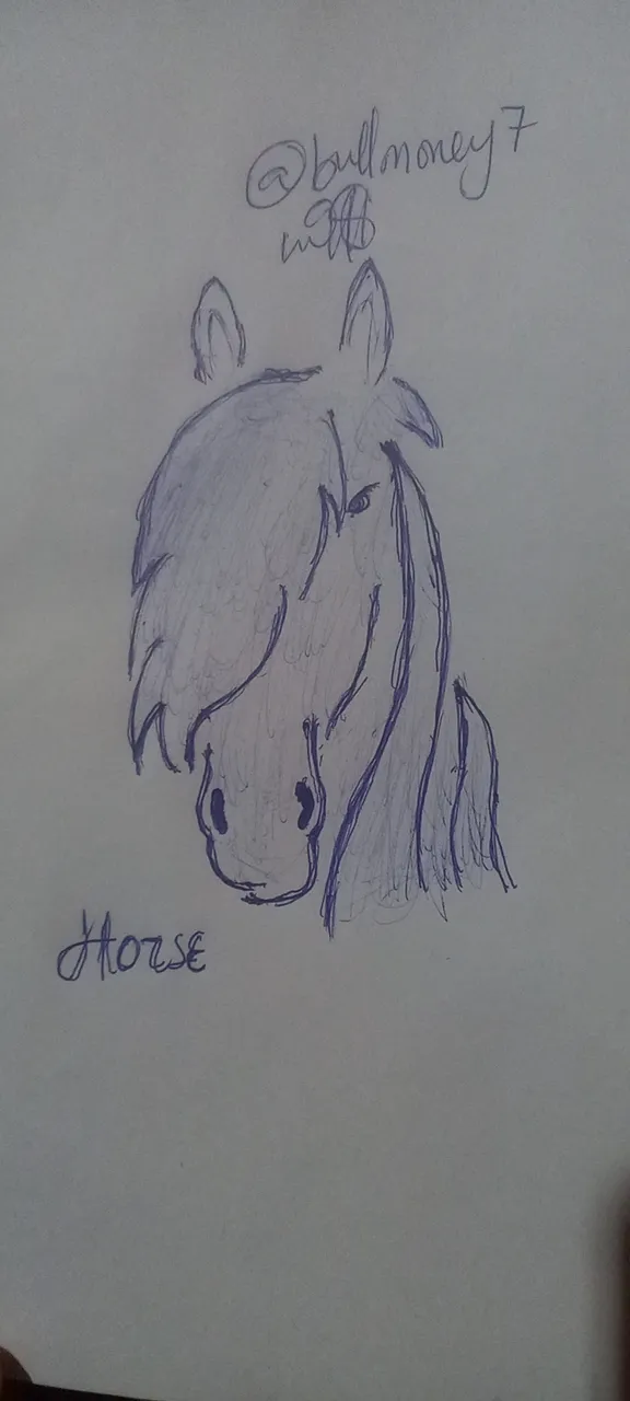 20240128_173036.jpg