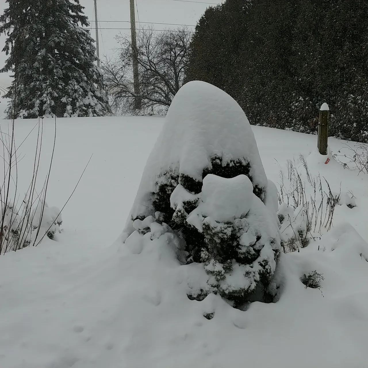 20220117_120836.jpg