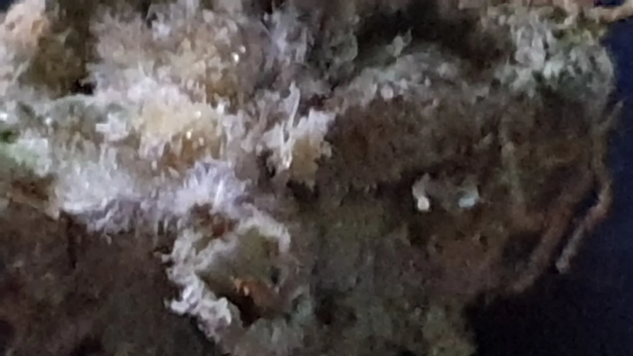 20200812_014827.jpg