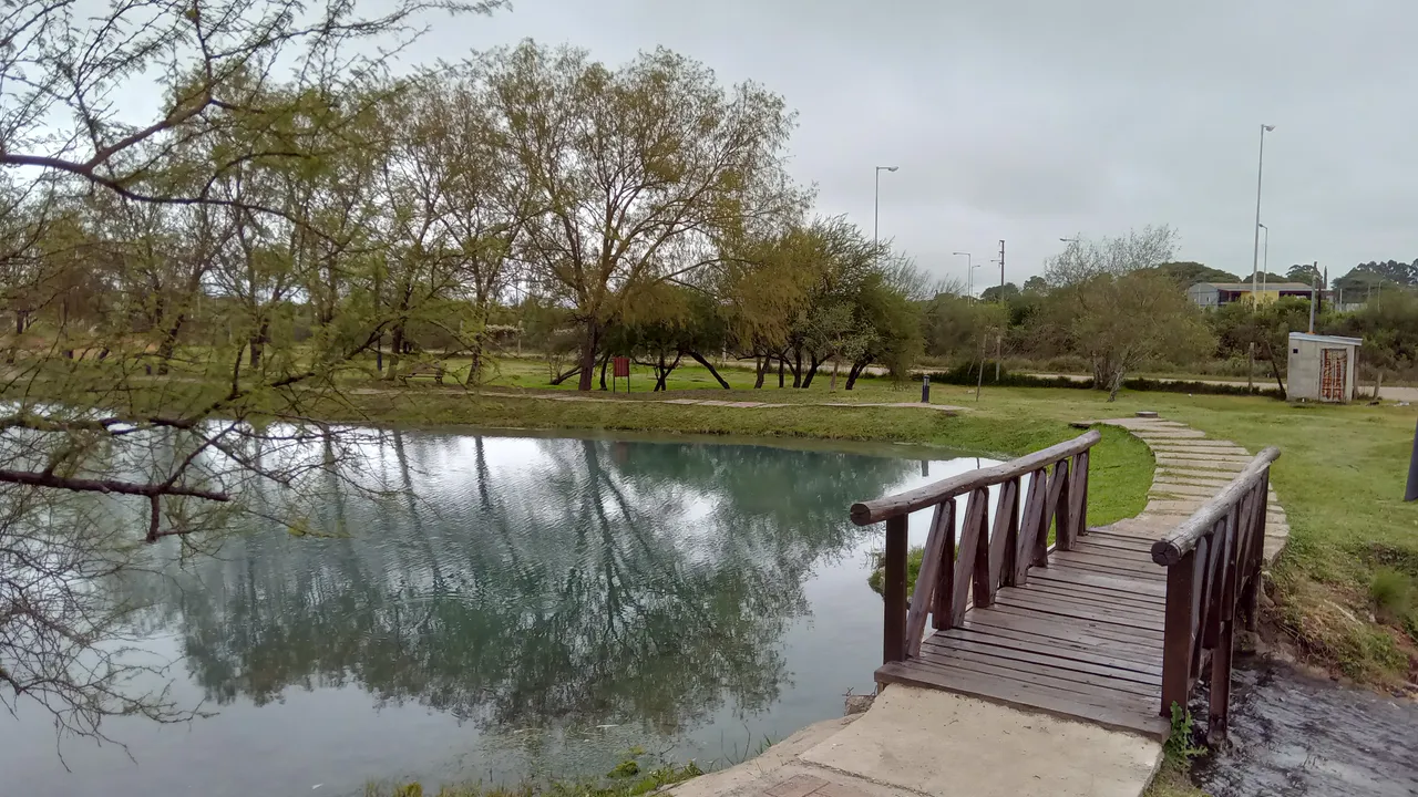 20250622_112804.jpg