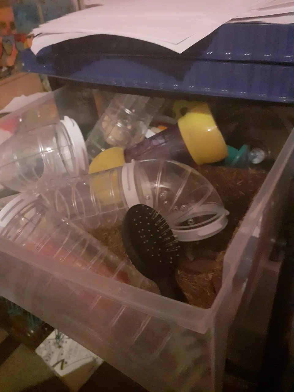 20220125_184613.jpg