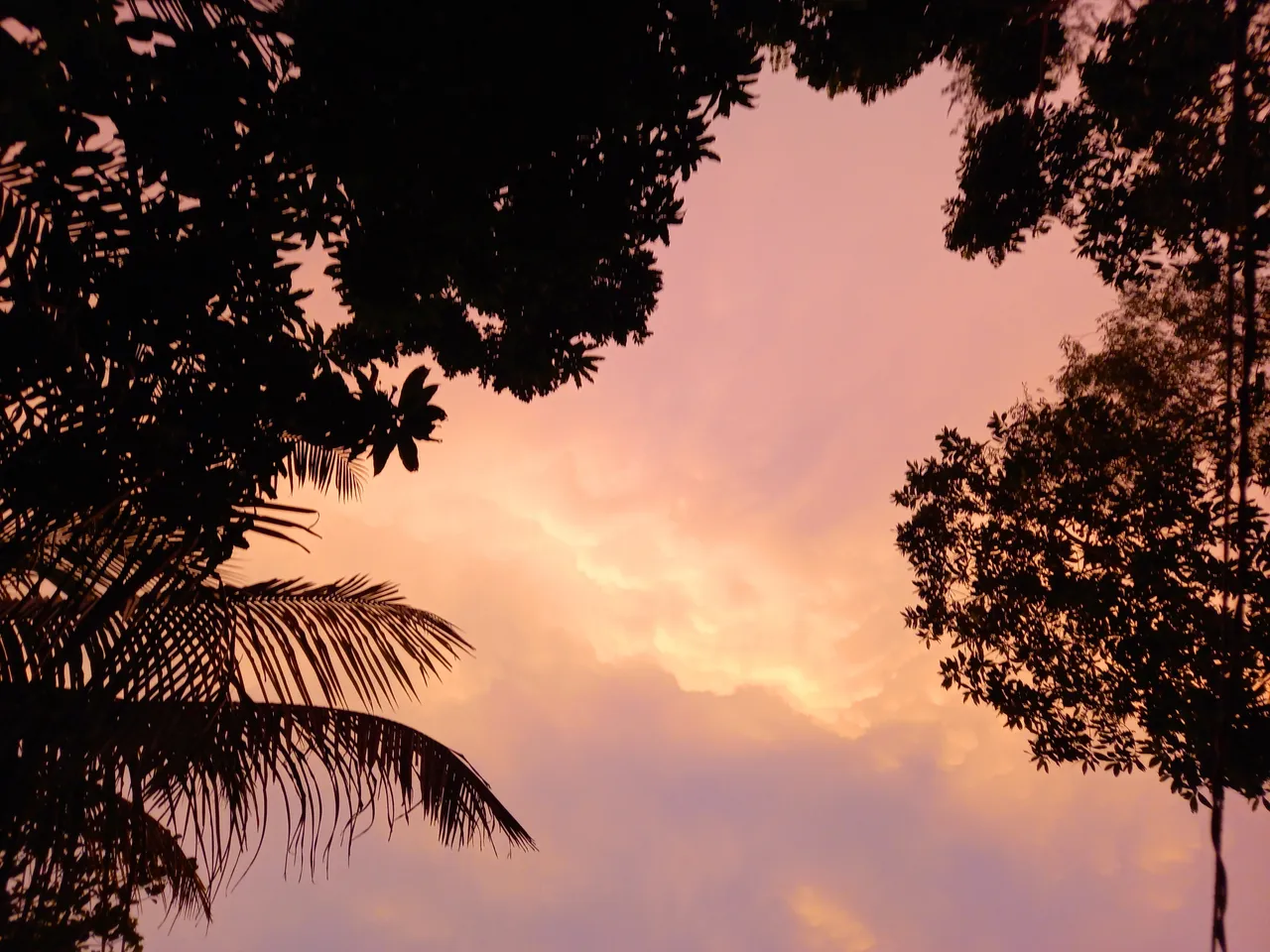 20210524_214644.jpg