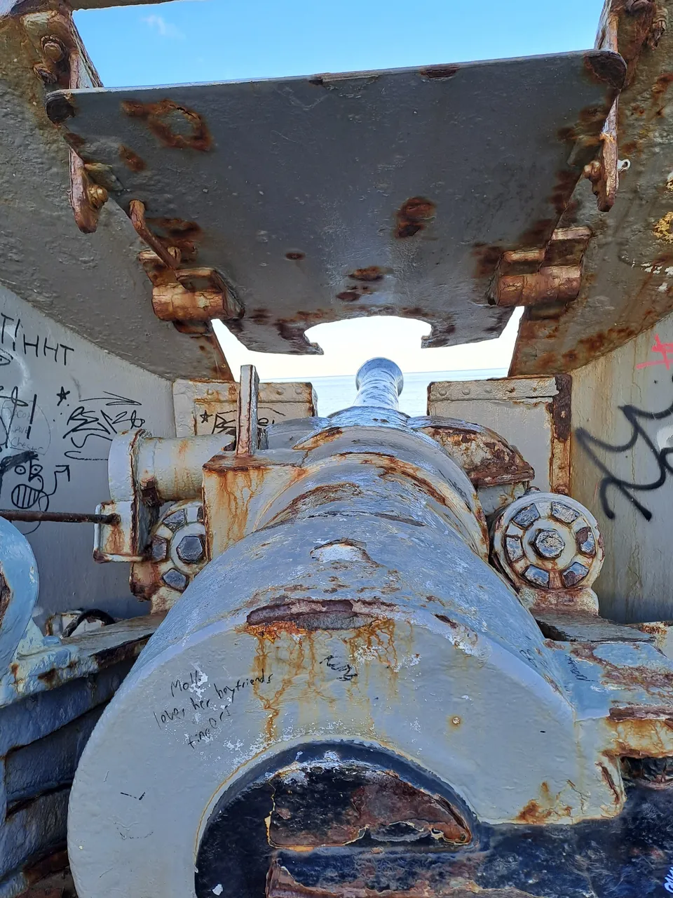 20221103_144644.jpg
