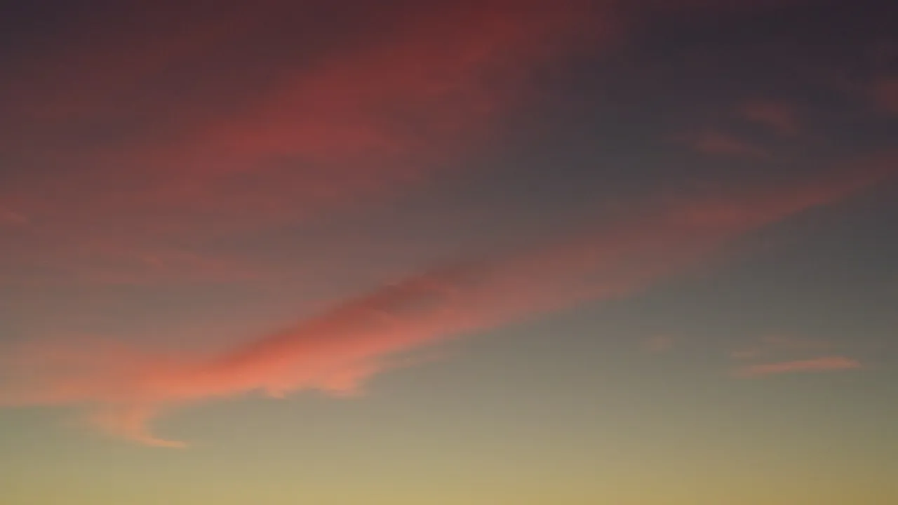 20201208_172454.jpg