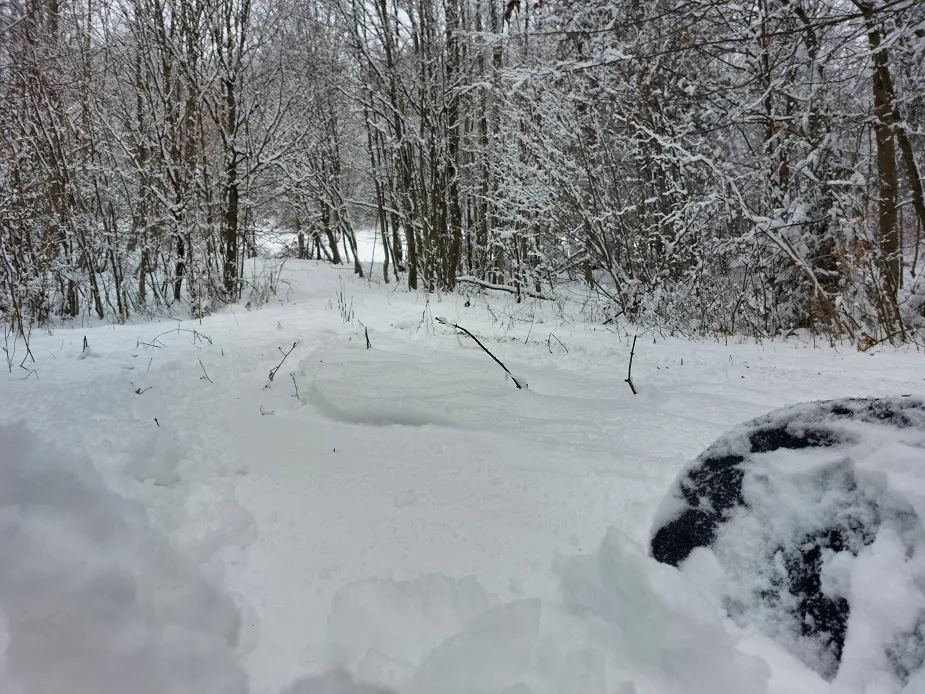 20211211_131232.jpg
