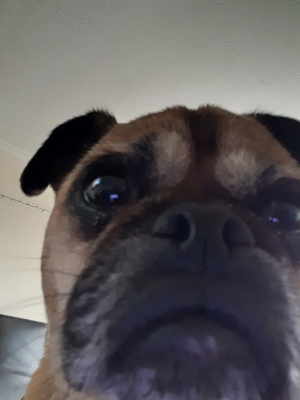 20220423_175908.jpg