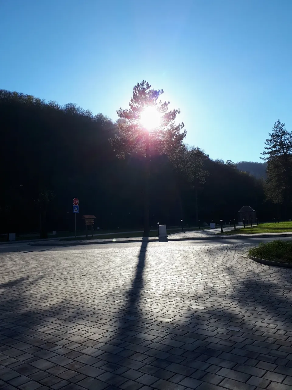 20231109_140759.jpg