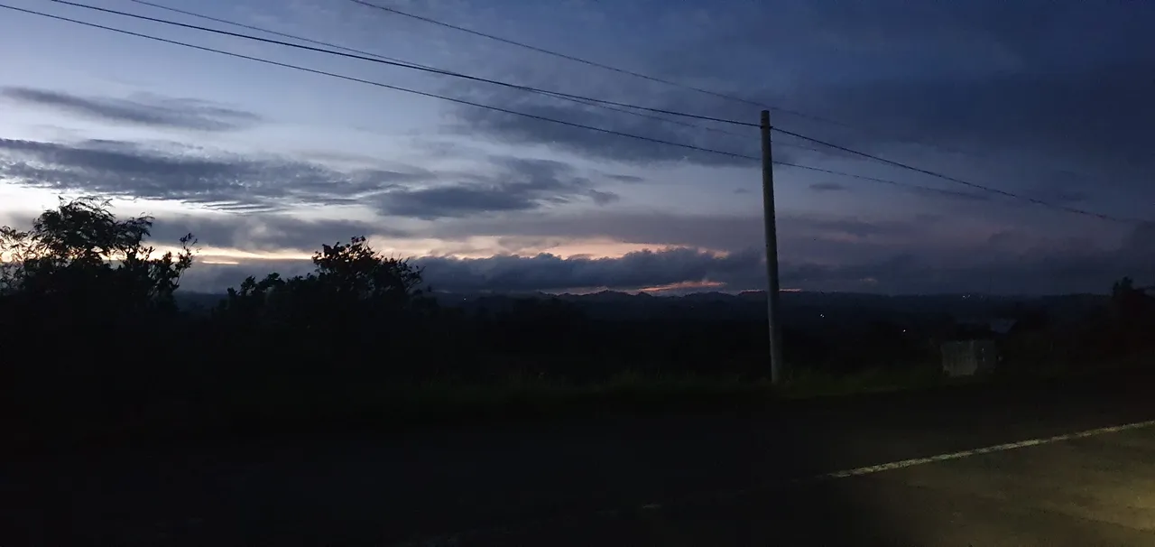 20230317_052251.jpg