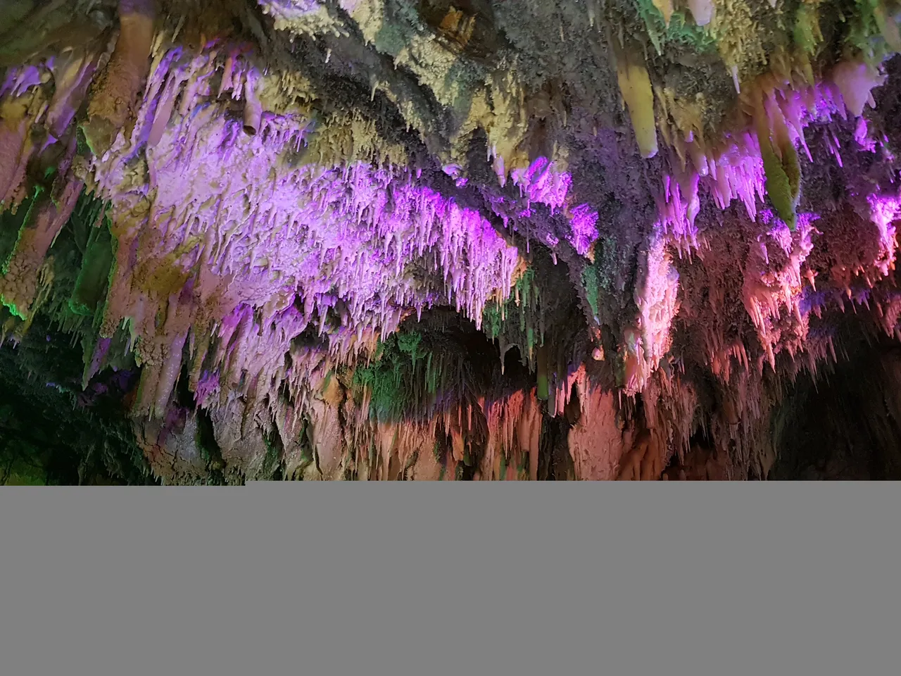 20180501_091951.jpg