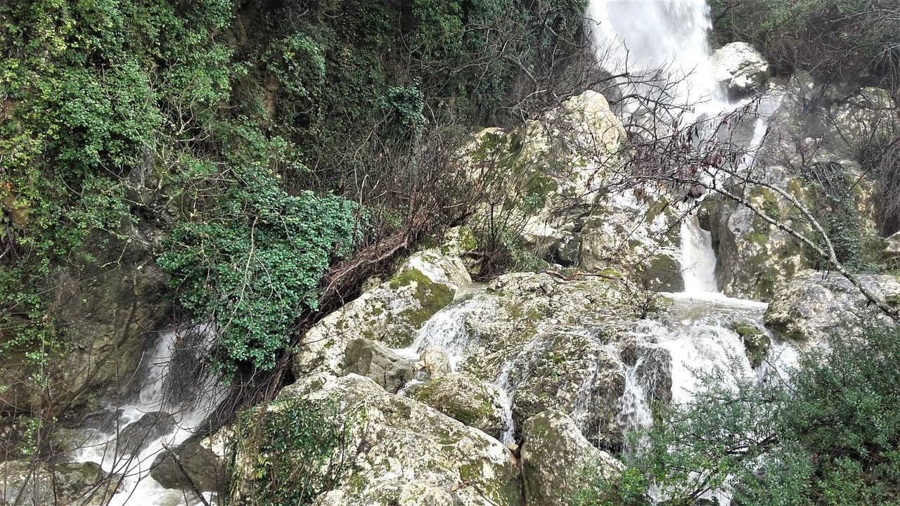 20190125_140938.jpg