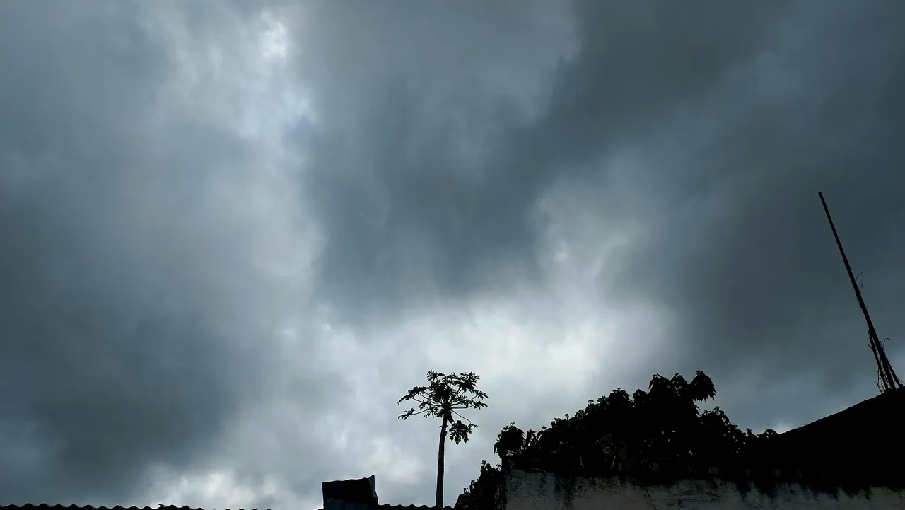 20250722_102009.jpg