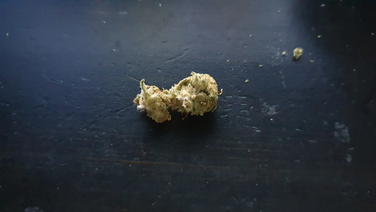 20200812_014655.jpg