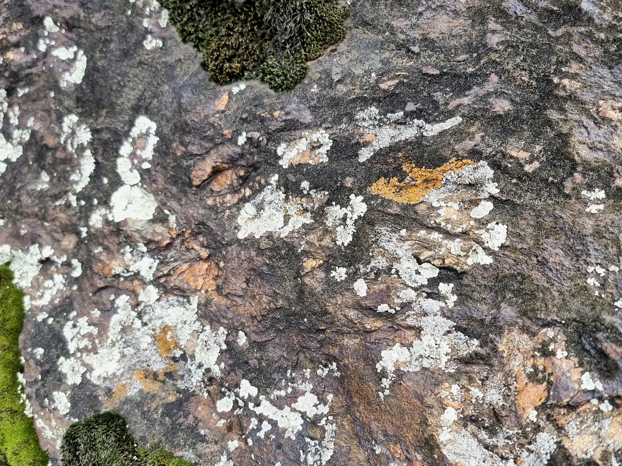 20250512_113705.jpg