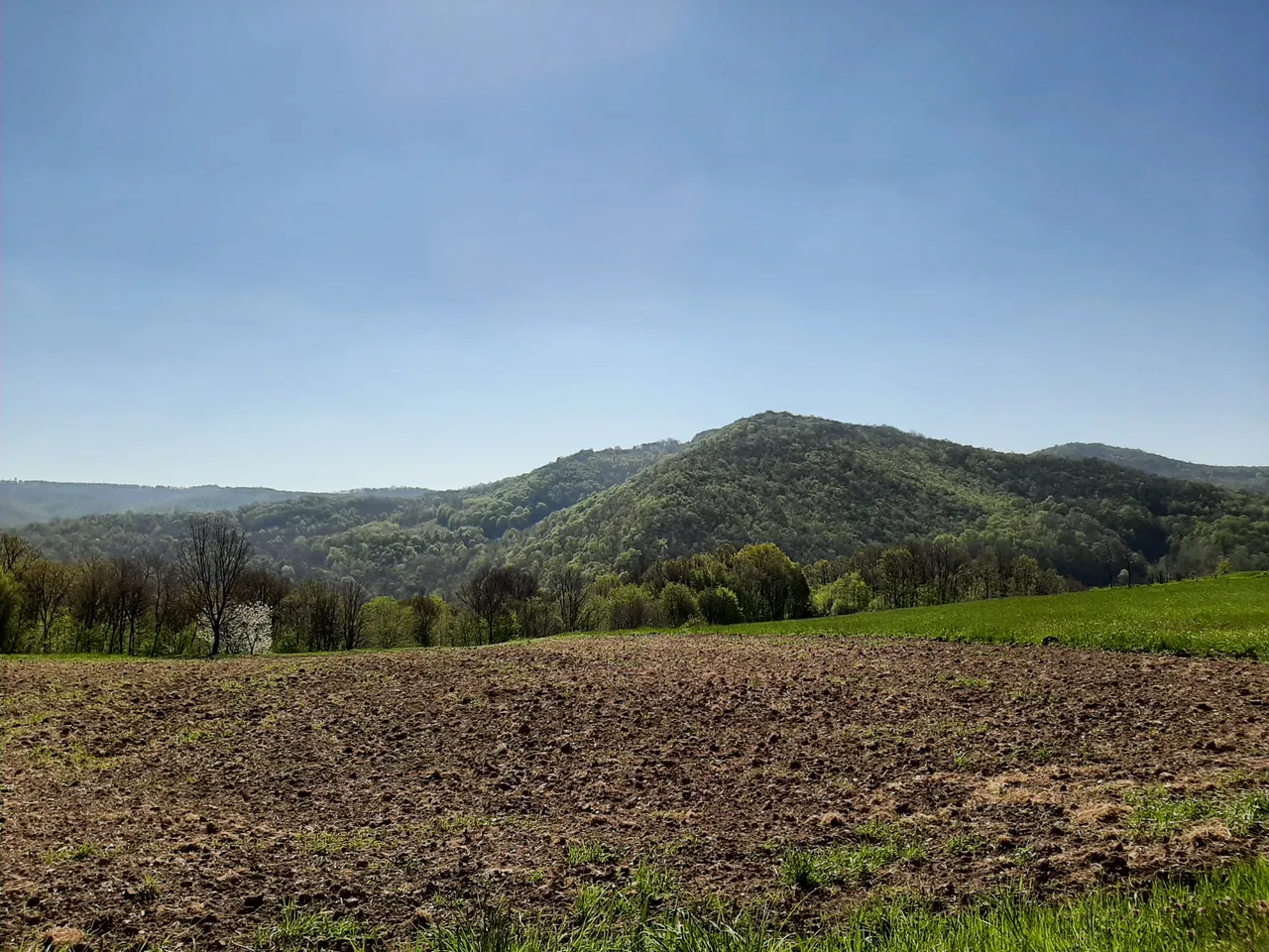 20210425_093139.jpg