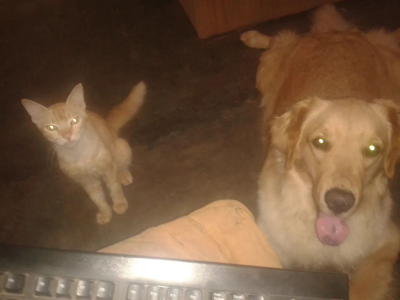 20200720_181321.jpg