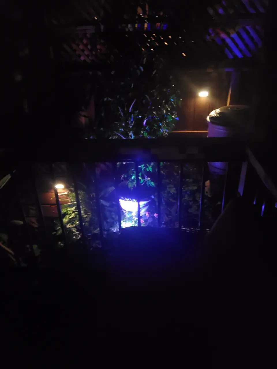 20220405_213506.jpg