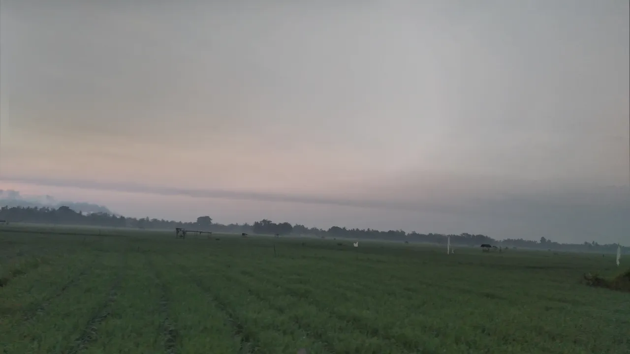 20240318_064356.jpg