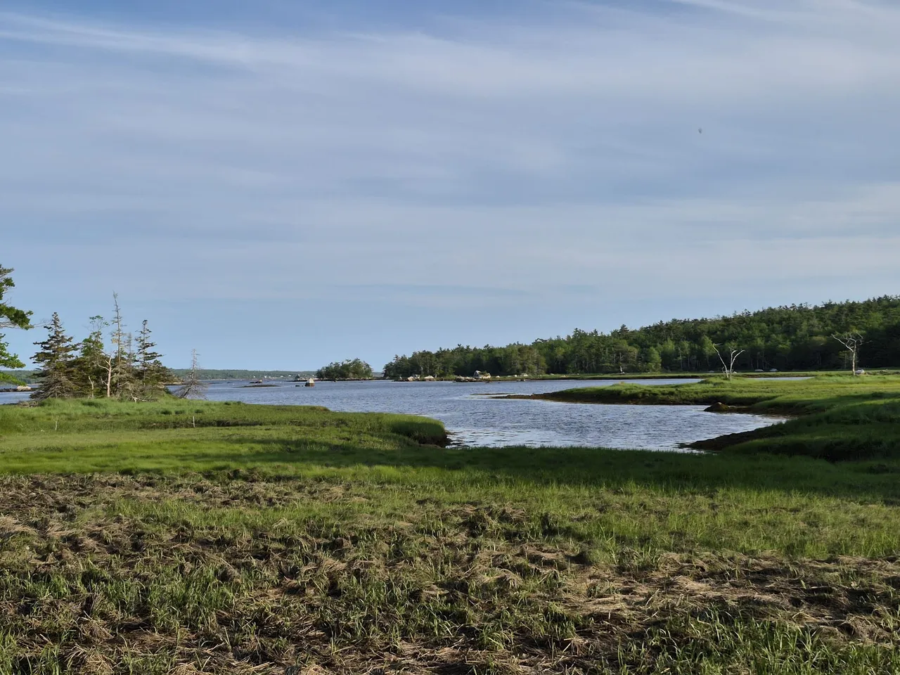 provincial-park.jpg