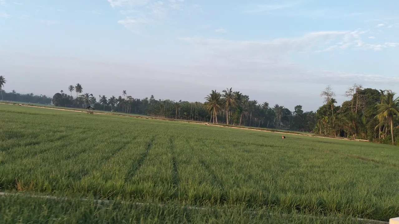 20240317_070439.jpg
