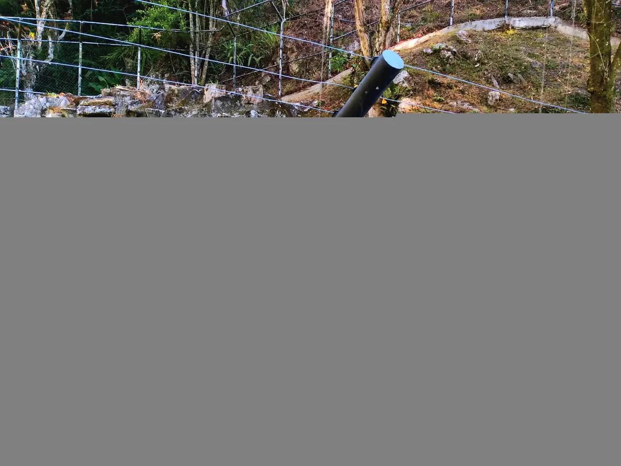 20240127_093958.jpg