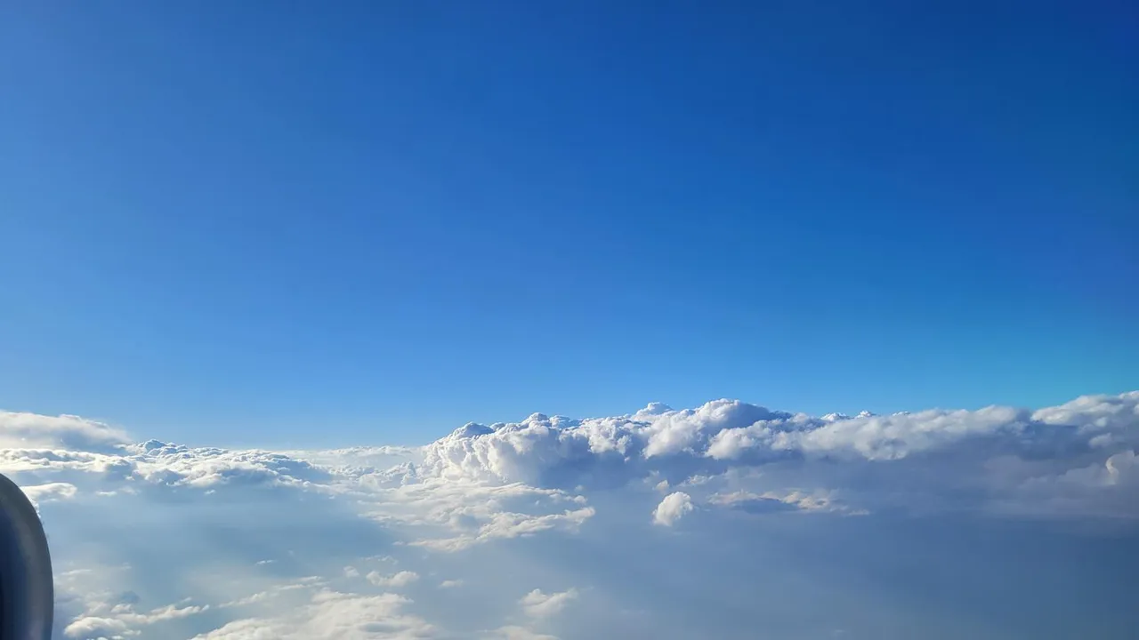 20240126_174731.jpg