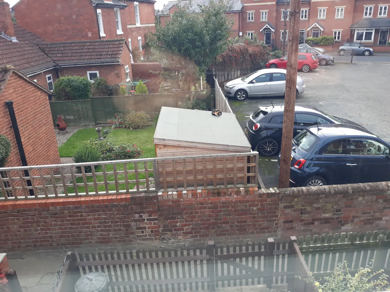 20181018_122338.jpg