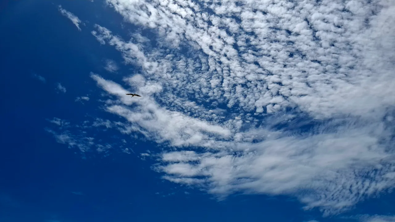 20250621_123347.jpg