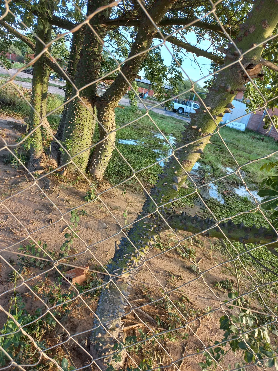 20230130_072056.jpg