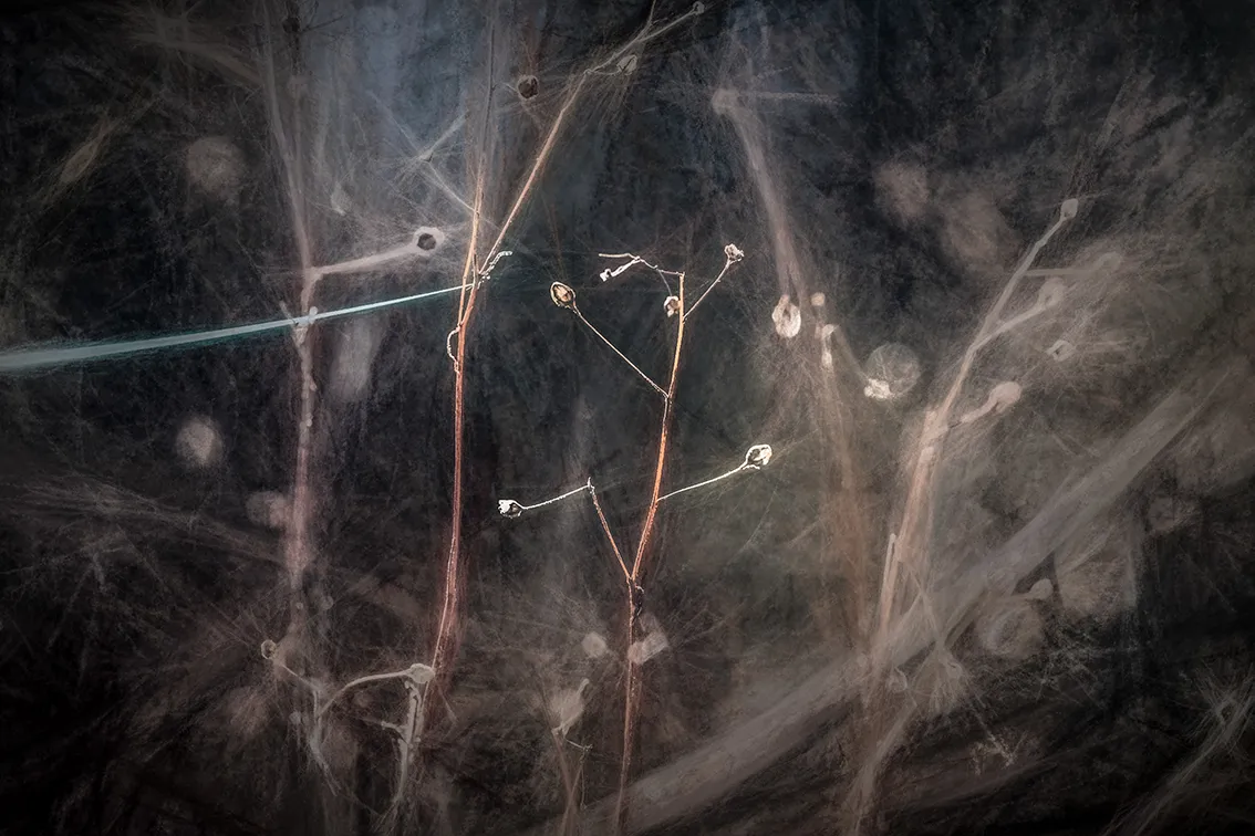DSC_5623-CH-2-WE.png