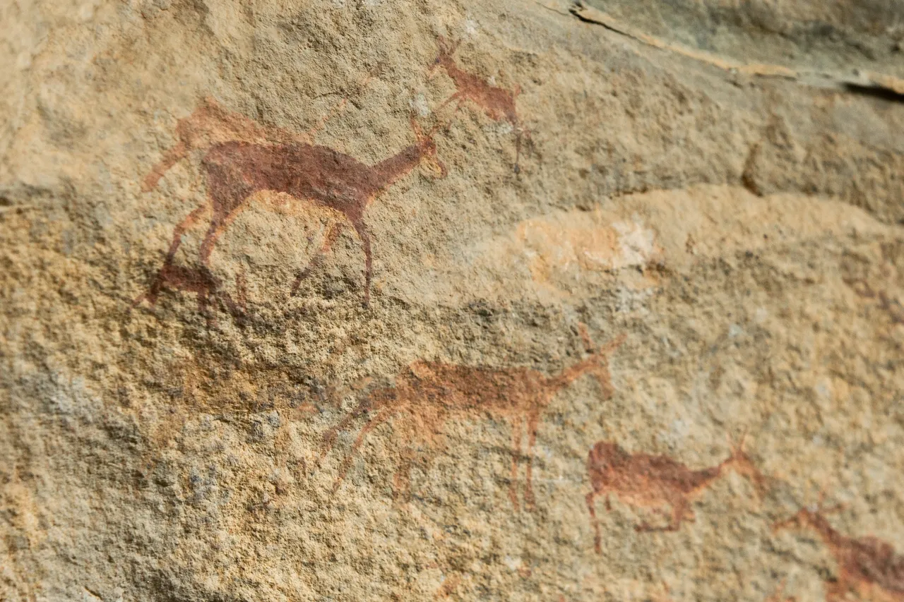 An impala herd.