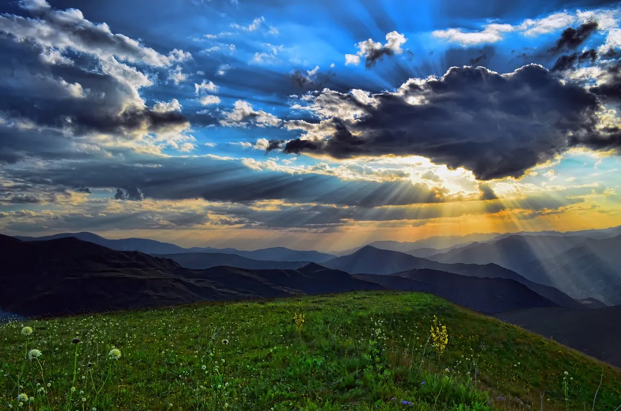 nature-3048299_1280.jpg