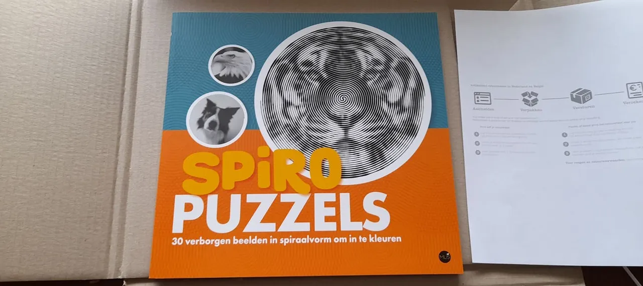 226023251_2369014296569319_6042336514752012827_n.jpg