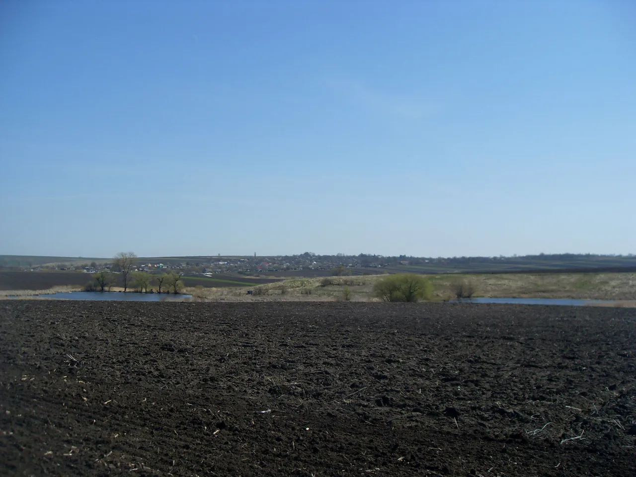 SDC16570-16570.jpg