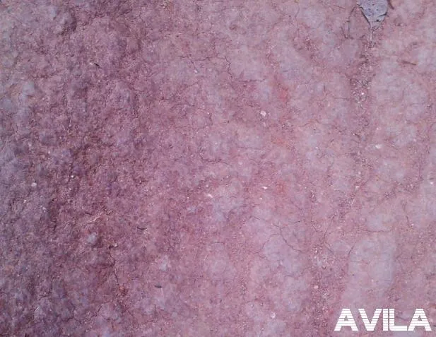 avila rostro.jpg