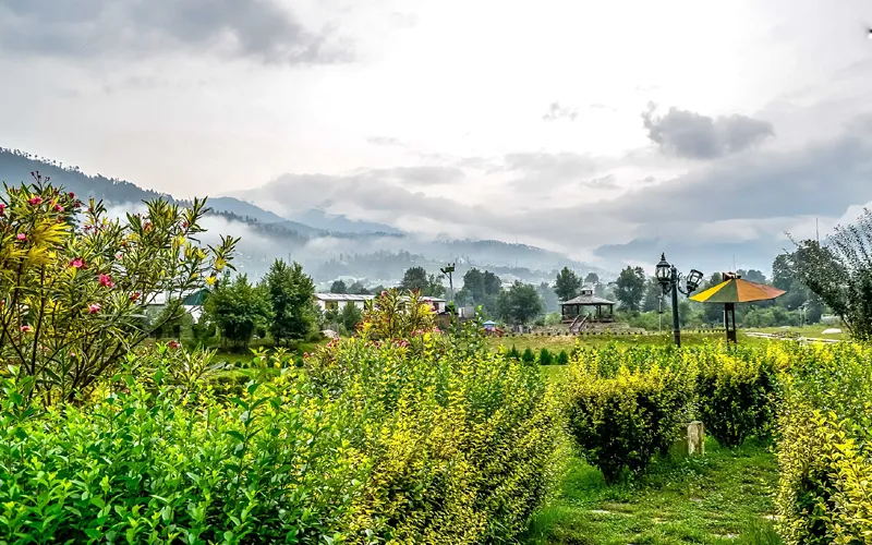 bhaderwah-town.jpg