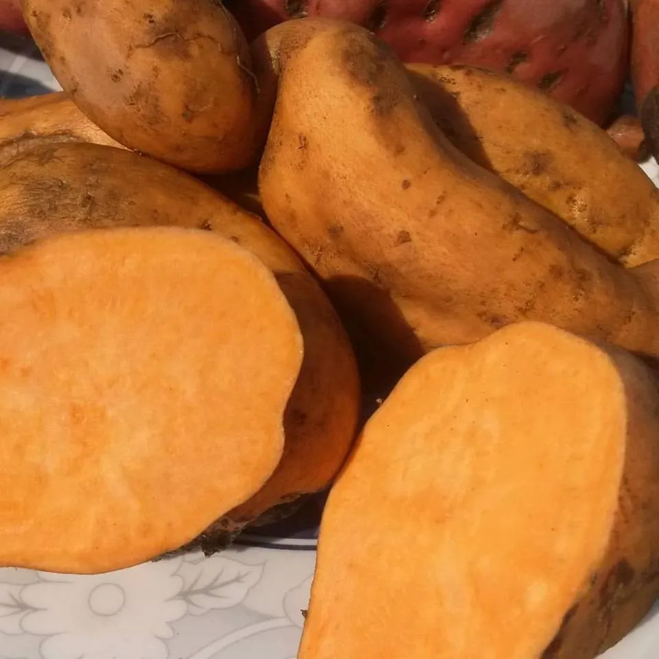 sweet potato.jpg