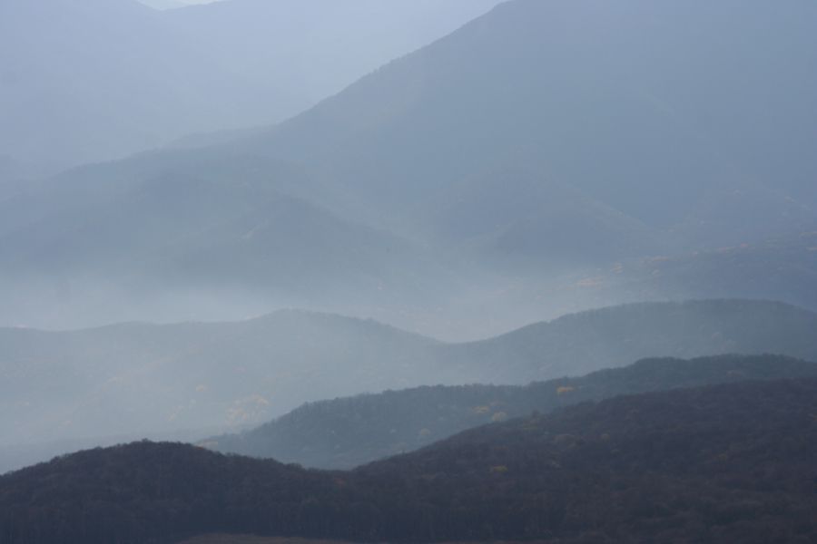 2010_11_07 042.jpg