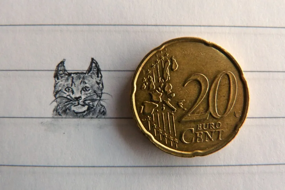 cat miniatur.jpg