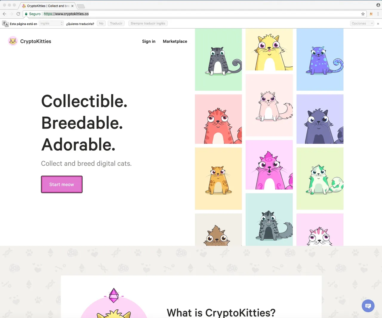 cryptokitties.jpeg