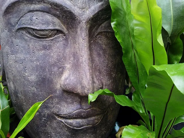 zen-178992_640.jpg