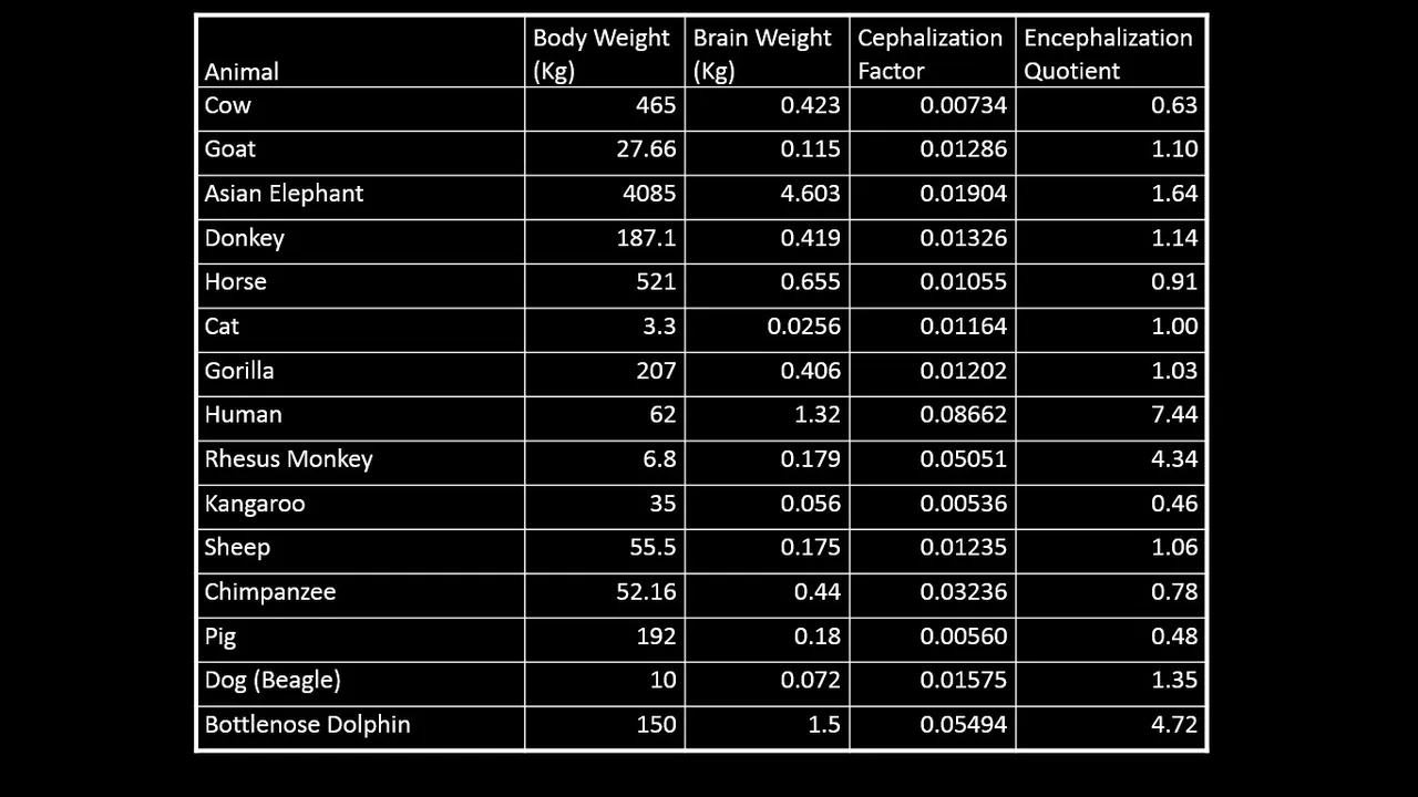 BweightBweight.jpg