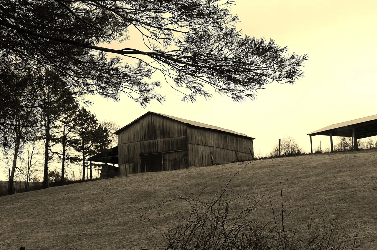 Tobacco Barn.jpg