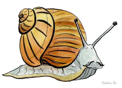 brownsnailvsml.jpg