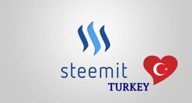 steem turkey.jpg