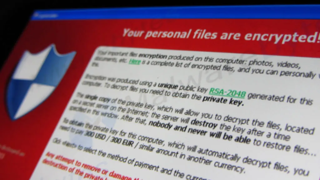 ransomware 2.jpg