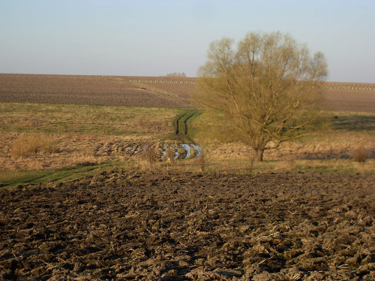 SDC16557-16557.jpg