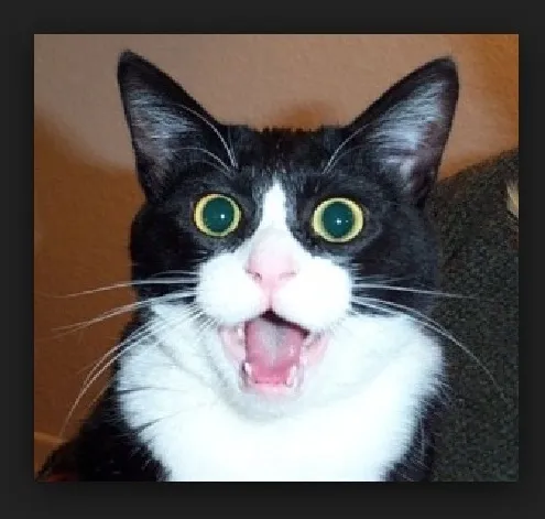 Screenshot_210.jpg