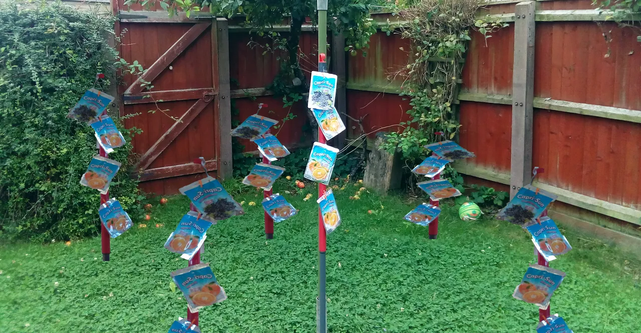 capri-sun-tree.jpg
